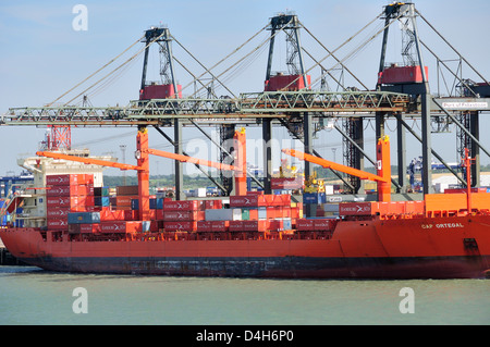 Contenitore essendo caricato sulla nave portacontainer caricando derrick a Felixstowe Docks, Suffolk, Inghilterra, Regno Unito Foto Stock