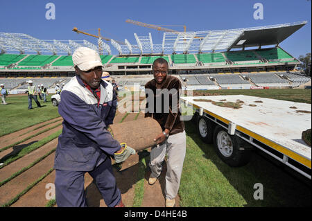 Lavoratori di tappeto erboso laici per il passo al Free State Stadium di Bloemfontein, Sud Africa, 26 novembre 2008. Foto: Gero Breloer Foto Stock