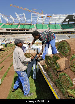 Lavoratori di tappeto erboso laici per il passo al Free State Stadium di Bloemfontein, Sud Africa, 26 novembre 2008. Foto: Gero Breloer Foto Stock