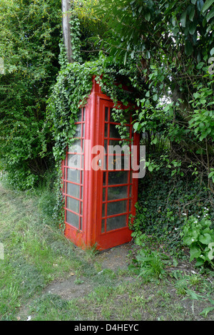 Un telefono rosso box scomparire sotto il fogliame. Foto Stock