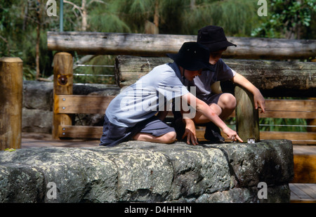Sydney NSW Australia scuola bambini indossare Cappello da sole alla ricerca di animali in allo Zoo di Taronga Foto Stock