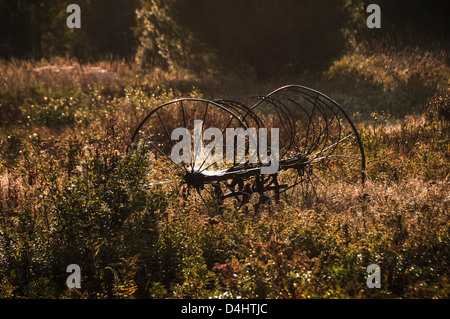Ragnatela,,vecchio rastrello fieno si siede in un campo si arrugginiscano e roting lontano, essi solo utilizzando quelli che ora sono i ragni rendendo veli. Foto Stock