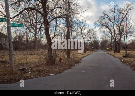 Detroit, Michigan - edifici abbandonati e lotti vacanti caratterizzano Pennsylvania Avenue a Detroit il lato est. Foto Stock