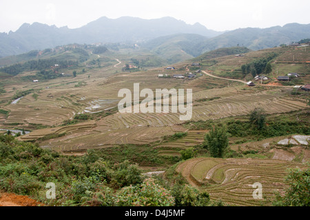 Terrazze di riso sulle pendici del Catcat Villaggio Culturale vicino a Sapa Vietnam Foto Stock