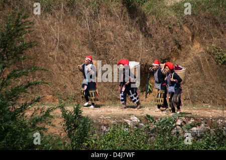 Donna Hmong in Sapa regione nel Nord Vietnam, Vietnam, Indocina, Asia sud-orientale, Asia Foto Stock