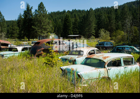 Canada, British Columbia, vecchio cimitero di auto a forest Foto Stock