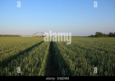 Strukkamphuk, Germania, il Fehmarn Sund ponte a Strukkamphuk Foto Stock