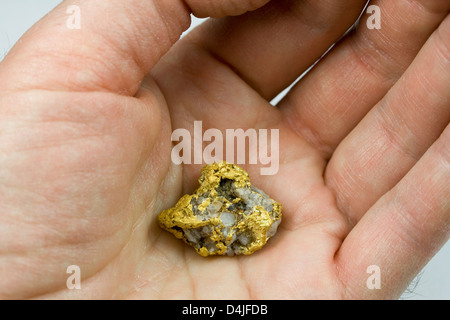 Nevada USA / oro Quartz Nugget in mano Foto Stock