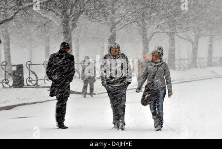 Durante una neve pesante raffica, pedoni a piedi attraverso il Hofgarten a Monaco di Baviera, Germania, 11 febbraio 2009. Non vi potrà essere ripetutamente bufera di neve durante i prossimi giorni e la temperatura diminuirà di alcuni gradi. Foto: Frank Leonhardt Foto Stock