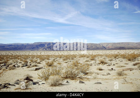 (File) - Il file immagine datata 29 gennaio 2008 mostra la steppa-come una vegetazione di Panamint Valley a Parco Nazionale della Valle della Morte, STATI UNITI D'AMERICA. Foto: Thomas Muncke Foto Stock