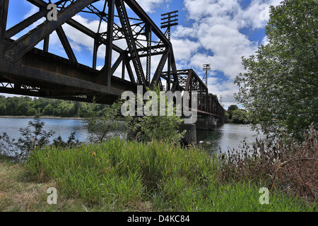 Treno trussell oltre la forcella ad est del fiume di Lewis, nel bosco , Washington STATI UNITI D'AMERICA Foto Stock