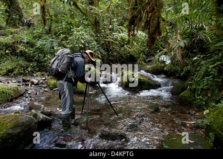 Fotografo Outdoor Øyvind Martinsen a lavorare in La Amistad national park, Chiriqui provincia, Repubblica di Panama. Foto Stock