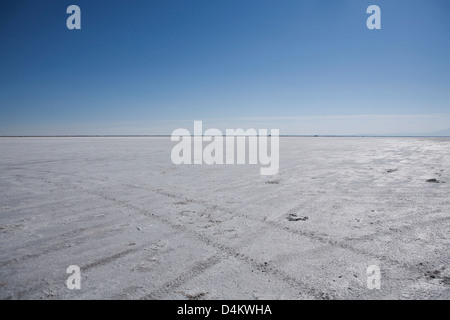 Tracce di pneumatici nel paesaggio del deserto Foto Stock