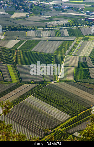 Vista aerea di campi di raccolto Foto Stock
