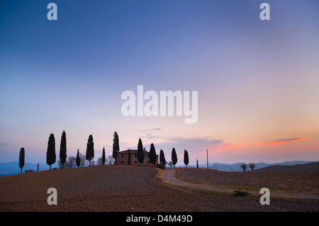 Cipresso toscano alberi che crescono sulla collina Foto Stock