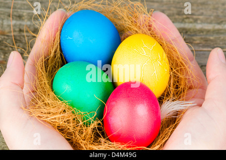 Nido con uova di dipinti su tavola in legno Foto Stock