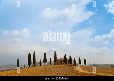 Tuscan cipressi intorno a casa Foto Stock