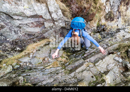 Un escursionista ascendente del Jack rastrello su Pavey Arca nel distretto del lago. Foto Stock