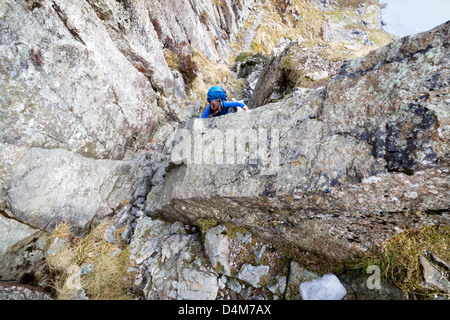 Un escursionista ascendente del Jack rastrello su Pavey Arca nel distretto del lago. Foto Stock