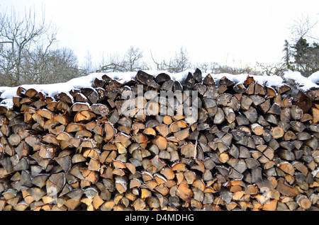 Tronchetti di legno ricoperta di sfondo con la neve Foto Stock