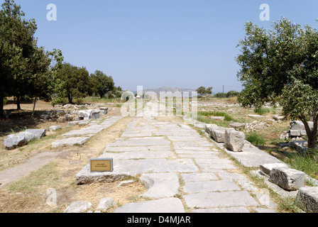 Samos. La Grecia. La sezione finale della lapidato lastricata Via Sacra che collegava la città antica (ora Pythagorien) al santuario. Foto Stock