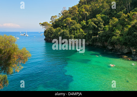 Piccola baia con un bel colore giallo-verde acqua vicino alla scogliera coperta da alberi sul giorno di estate a Portofino, Italia. Foto Stock