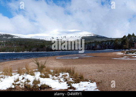 Loch Morlich, Glenmore, Inverness-shire, Scozia Foto Stock