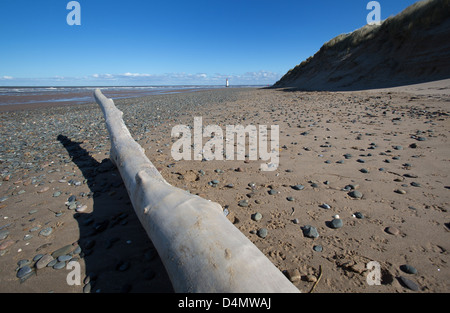 Il Galles sentiero costiero nel Galles del Nord. Vista pittoresca di driftwood Talacre sulla spiaggia con il faro in background. Foto Stock