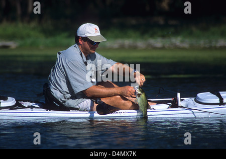 Fisherman recuperando un largemouth bass (micropterus salmoides) su un piccolo laghetto nei pressi di Austin in Texas Foto Stock