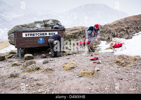 I proprietari di cani di mettere giacche su i loro cani per proteggerli dal freddo Foto Stock