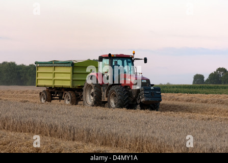 Penzlin, Germania, una cooperativa agricola durante la mietitura del grano Foto Stock