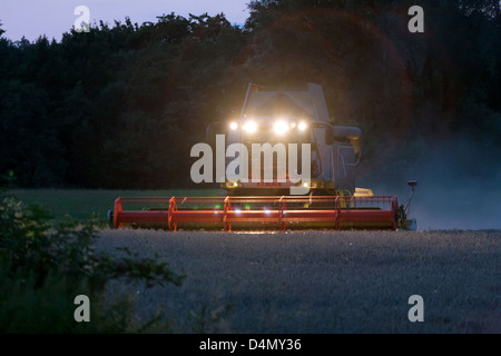 Penzlin, Germania, una mietitrebbia cooperativa di notte durante la mietitura del grano Foto Stock