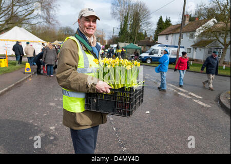 Thriplow Daffodil Weekend, Cambridgeshire, Regno Unito. Sabato 16 marzo 2013. Tim Holmes , Presidente del Comitato Daffodil porta un vassoio di vasi di narcisi. La maggior parte delle piantate narcisi hanno ancora a fiore a causa della molla a freddo. Il vento e la pioggia non ha impedito il festival annuale che è frequentato da migliaia di visitatori e continua domani. La manifestazione è organizzata dall'Daffodil Weekend fiducia e raccoglie fondi per una diversa carità ogni anno. Credito: Julian Eales / Alamy Live News Foto Stock