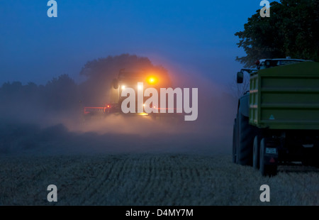 Penzlin, Germania, una mietitrebbia cooperativa di notte durante la mietitura del grano Foto Stock