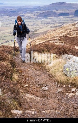 Un escursionista risalendo la cresta di bordo sulla strada per il vertice di Skiddaw Foto Stock