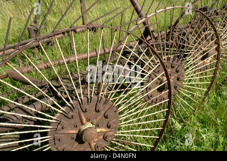 Dettaglio di un vecchio voltafieno, un attrezzo agricolo nel soleggiato verde ambiance Foto Stock