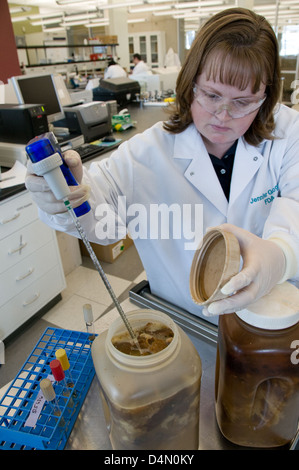 Il laboratorio FDA di Irvine ha condotto test sulle importazioni di frutti di mare, tra cui vongole, pesci e molluschi, per rilevare la presenza di batteri nocivi come Clostridium botulinum e istamina, che possono causare botulismo e avvelenamento scombroideo. Le ispezioni mirano a garantire la sicurezza dei prodotti ittici dalle acque internazionali. Foto Stock