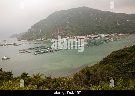 Cina, Hong Kong, Lamma Island. Flottante fattoria di pesce, Lamma, Isola di Hong Kong Foto Stock