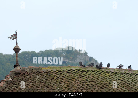 Tetto di tegole di un edificio storico, Brasov, Transilvania, Romania, Europa Foto Stock