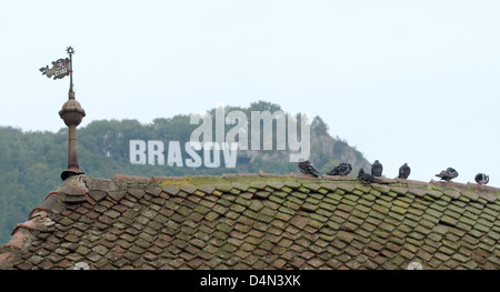 Tetto di tegole di un edificio storico, Brasov, Transilvania, Romania, Europa Foto Stock