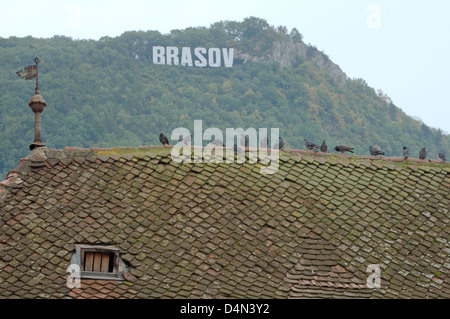 Tetto di tegole di un edificio storico, Brasov, Transilvania, Romania, Europa Foto Stock