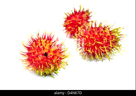 Rambutan isolati su sfondo bianco Foto Stock