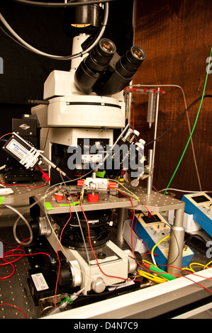 La stimolazione dei nervi periferici Foto Stock