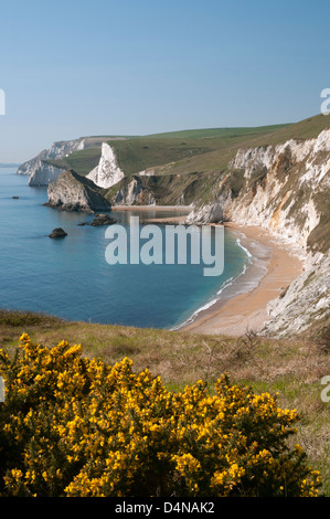 Vista di St Oswalds Bay e uomo di guerra Bay, Jurassic Coast, Dorset. Foto Stock
