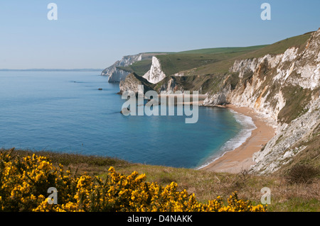 Vista di St Oswalds Bay e uomo di guerra Bay, Jurassic Coast, Dorset. Foto Stock