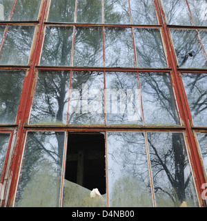 Chiusura del vetro rotto su edificio, Deje, Värmland, Svezia, Europa Foto Stock