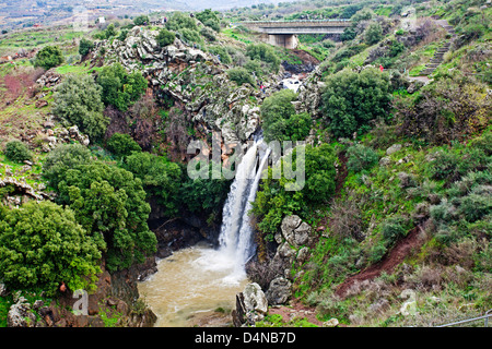 Israele, Golan, Saar con cascata riserva naturale Foto Stock