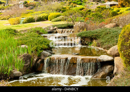 Giardini giapponesi, Cowra, NSW, Australia Foto Stock