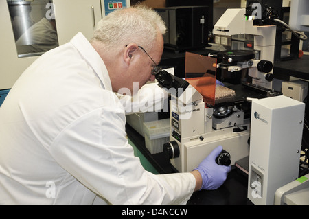 Il National Center for Toxicological Research (NCTR) conduce ricerche tossicologiche biochimiche per valutare la sicurezza di sostanze chimiche e prodotti. La Divisione di tossicologia biochimica si concentra sulla comprensione degli effetti tossici di varie sostanze, tra cui sostanze chimiche, additivi alimentari e prodotti farmaceutici. Questa ricerca sostiene la tutela della salute pubblica e il processo decisionale normativo. Foto Stock