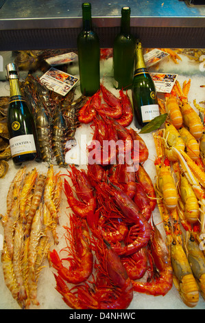 Dipartimento di frutti di mare Mercado Nuestra Senora de Africa market place Santa Cruz città isola di Tenerife Isole Canarie Spagna Foto Stock